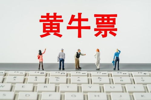 演唱会门票找“代抢”风险大，票务代理服务暗藏哪些猫腻