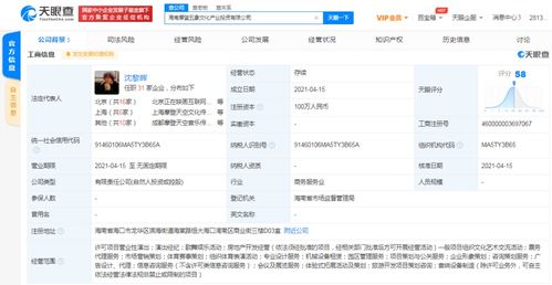 票务代理服务 连接需求与便利的桥梁